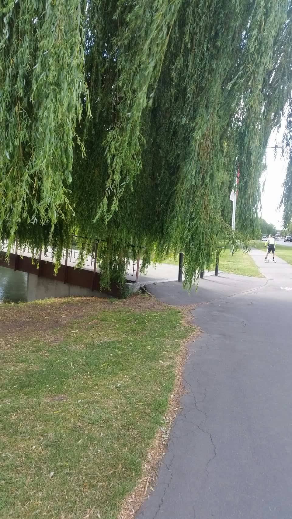 The photograph attached to this parks report