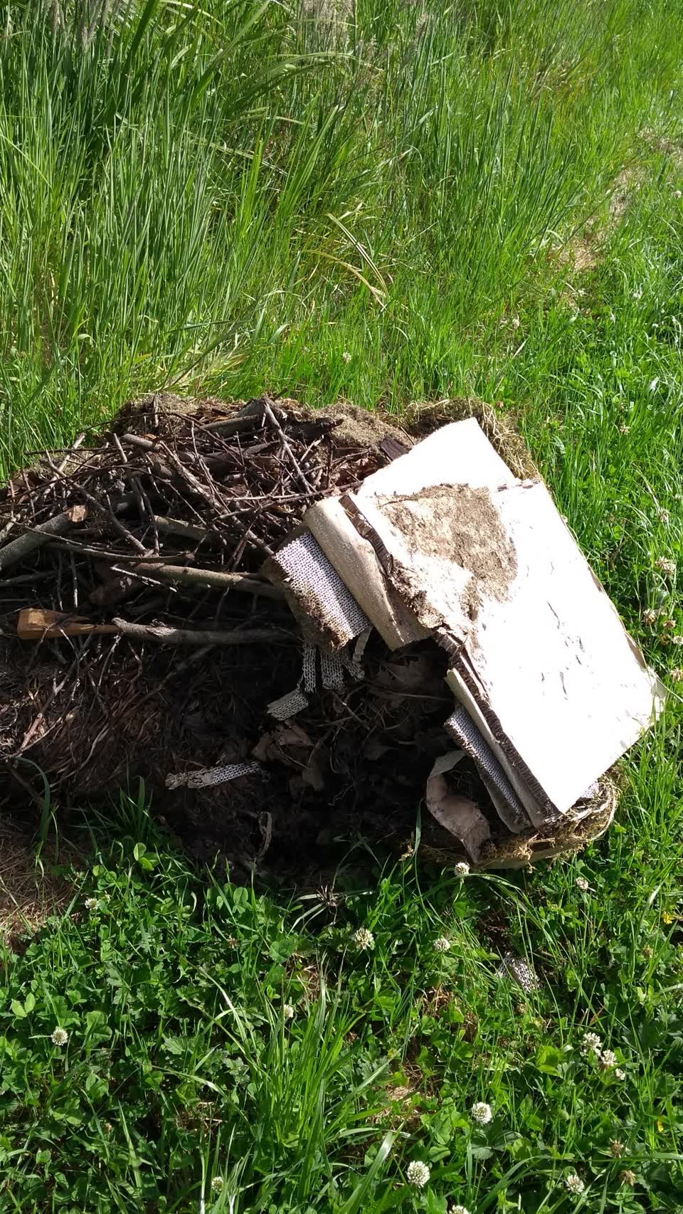 The photograph attached to this rubbish/recycling report