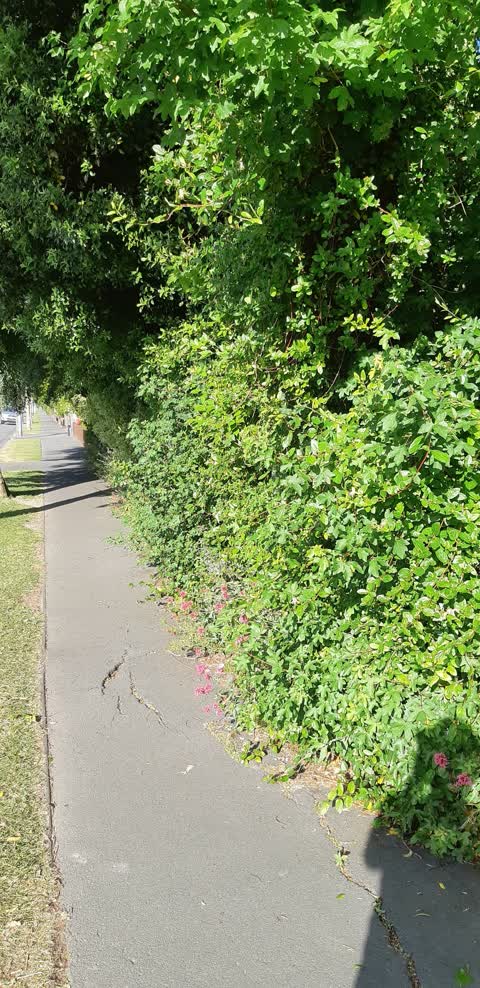 Roading/Streets, a report photo
