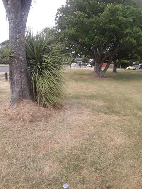 Parks, a report photo
