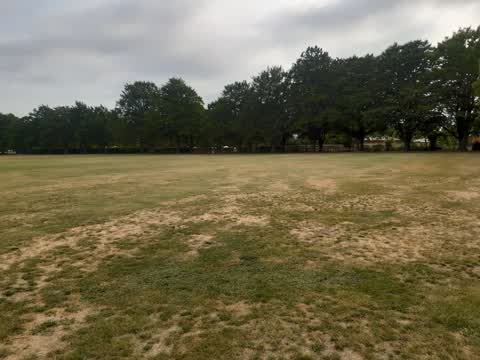 Parks, a report photo