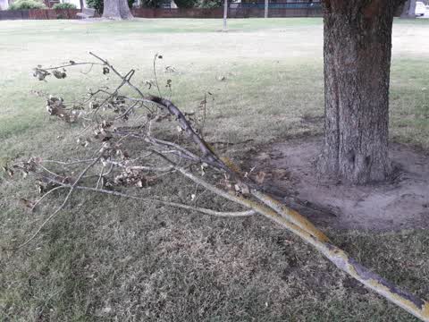 Parks, a report photo