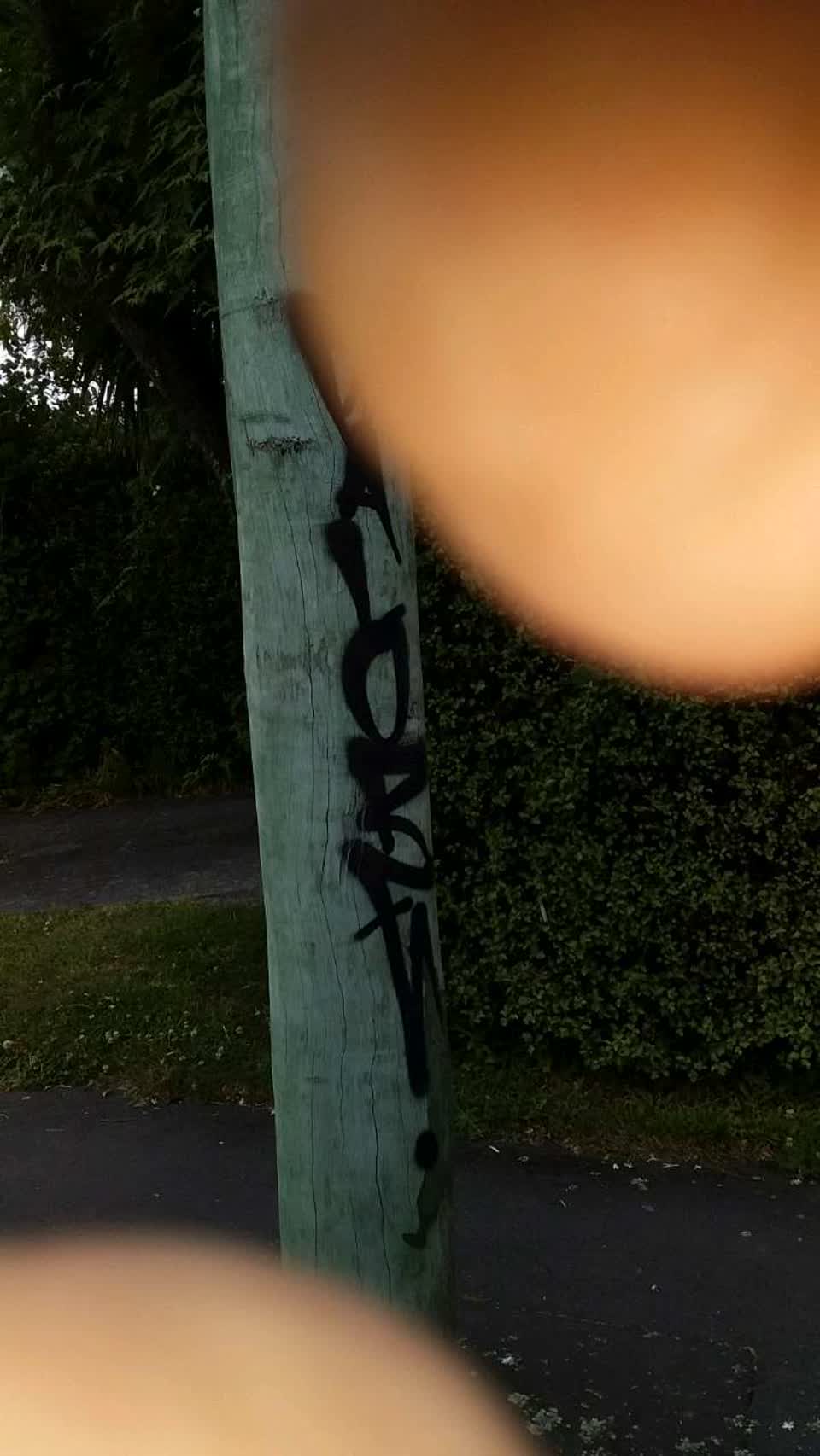 The photograph attached to this graffiti report