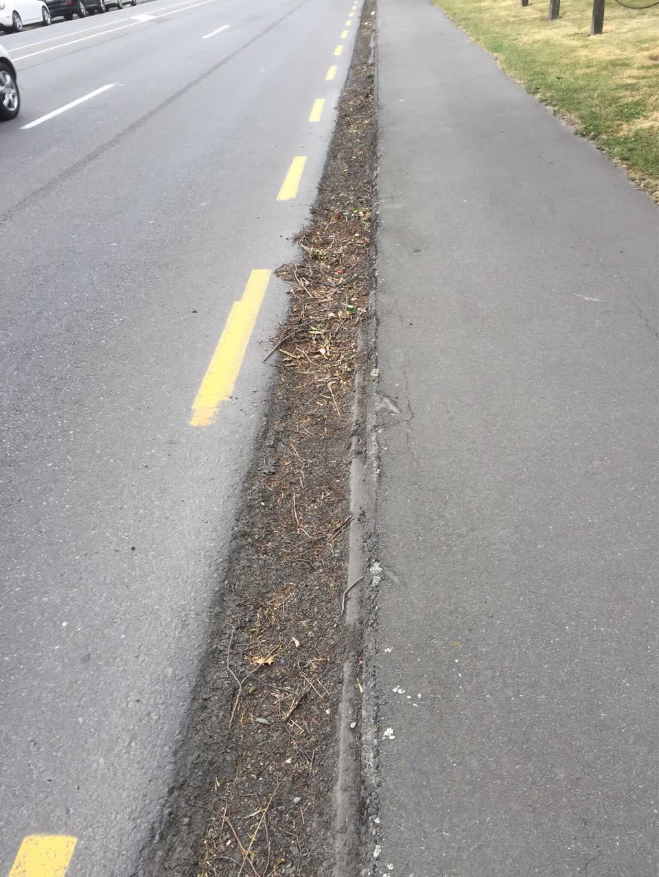 The photograph attached to this roading/streets report