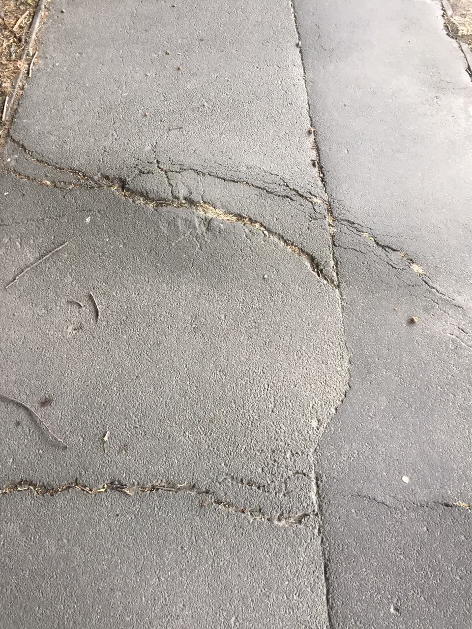 The photograph attached to this roading/streets report