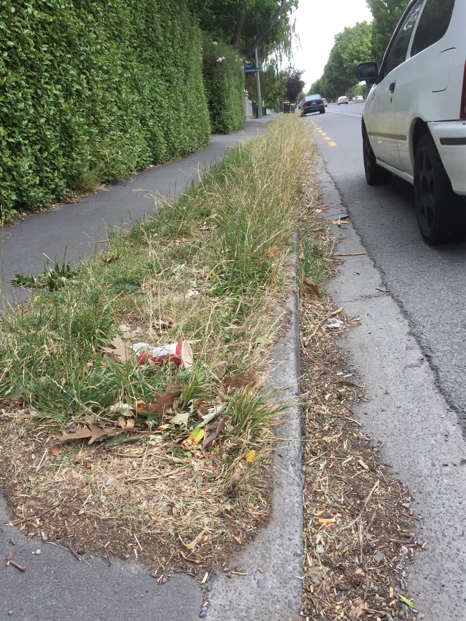 The photograph attached to this roading/streets report