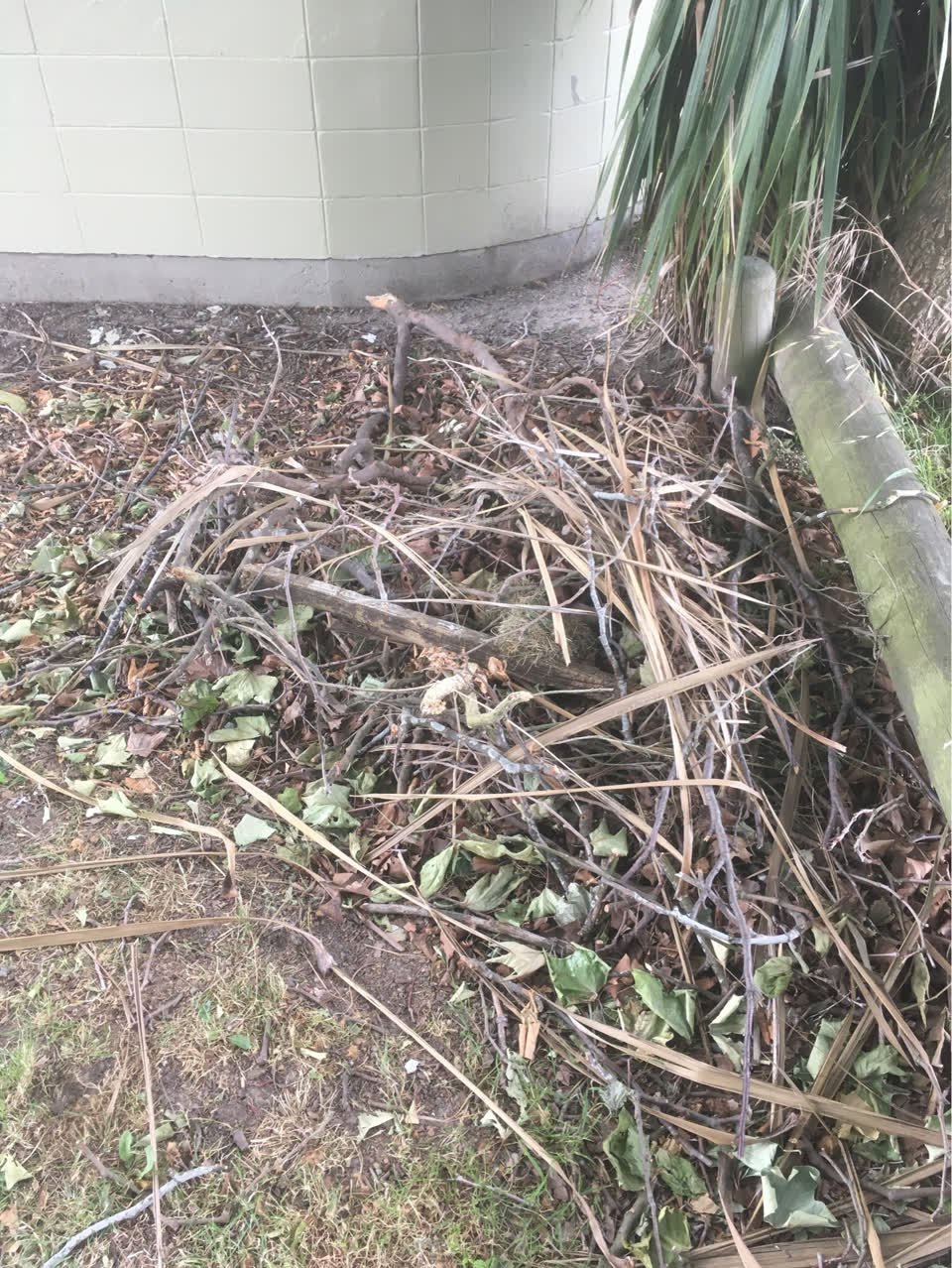The photograph attached to this parks report