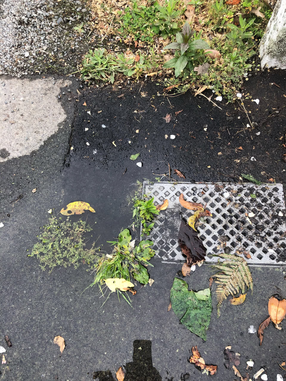 The photograph attached to this wastewater/stormwater report