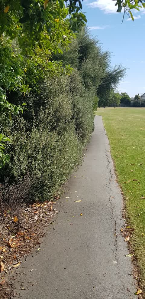 Parks, a report photo