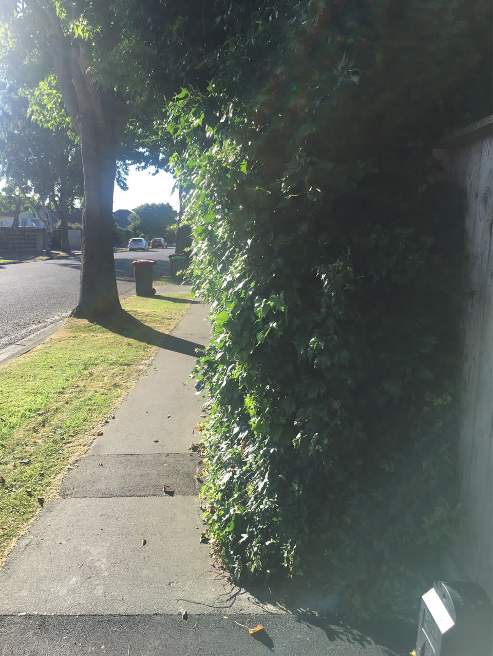 The photograph attached to this parks report