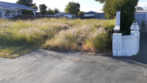 Rubbish/Recycling, a report photo