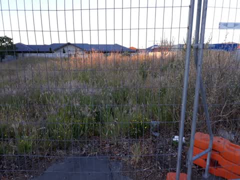 Rubbish/Recycling, a report photo
