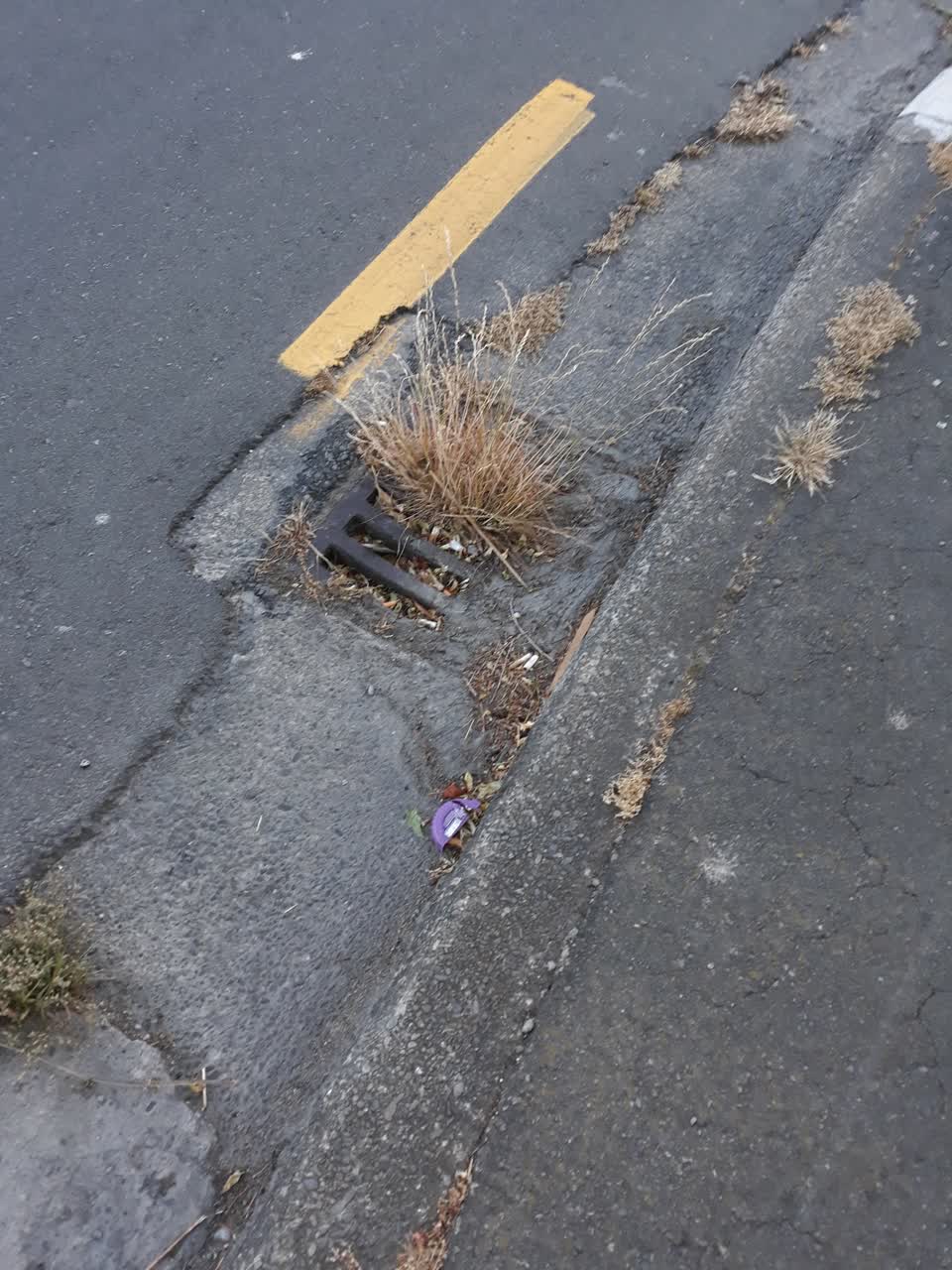 The photograph attached to this wastewater/stormwater report