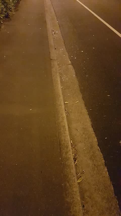 Roading/Streets, a report photo