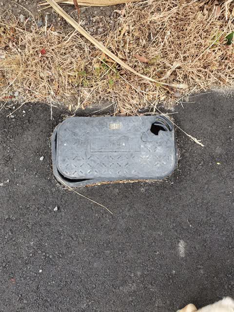 Water Supply, a report photo