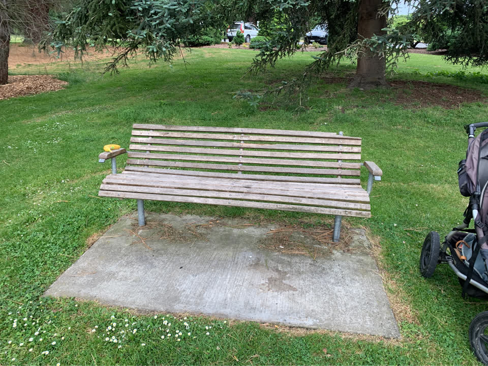 The photograph attached to this parks report