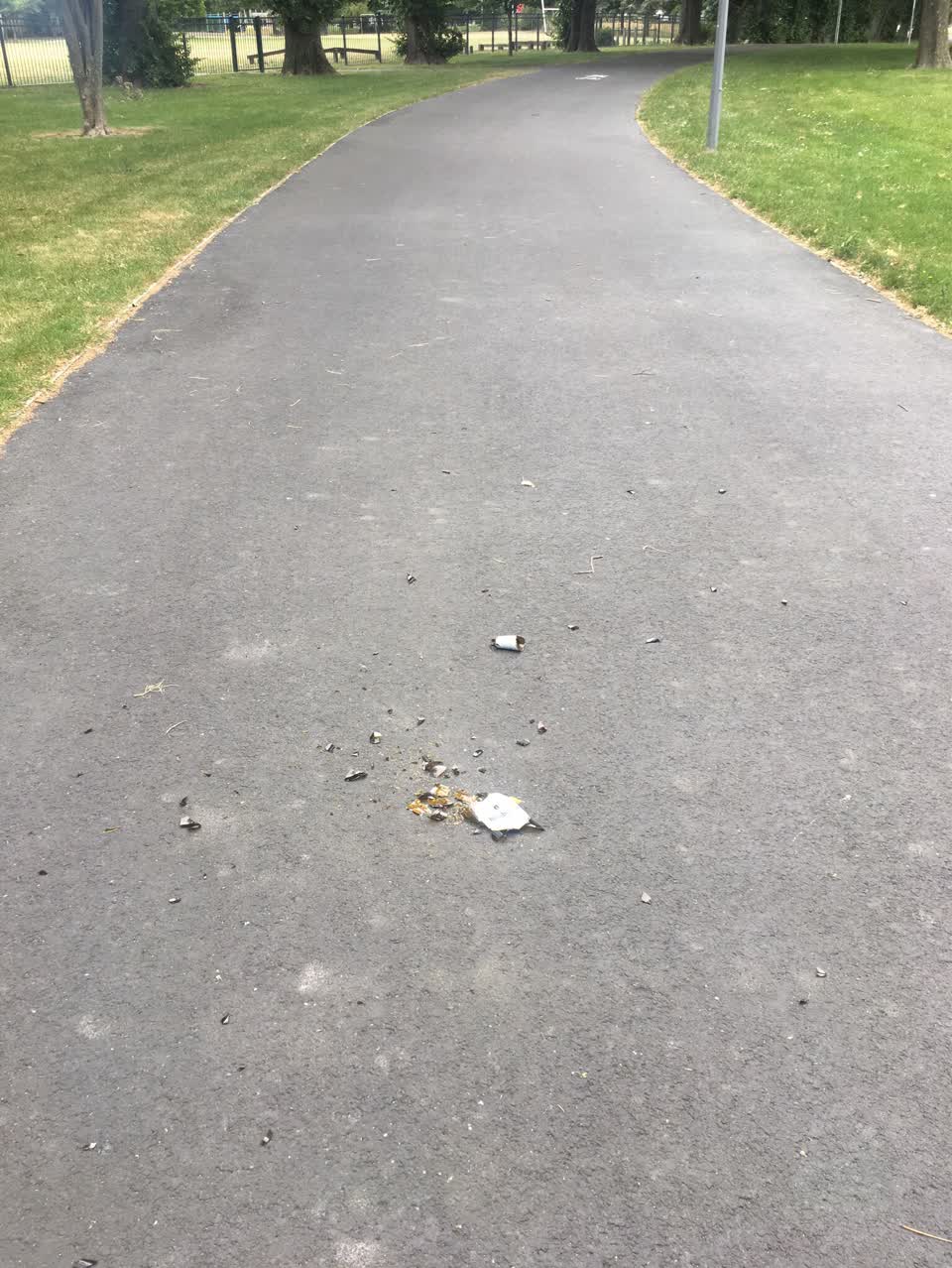 The photograph attached to this parks report