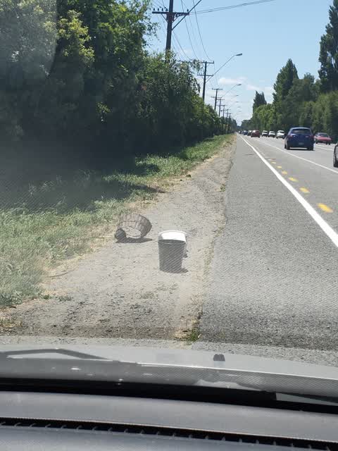 Rubbish/Recycling, a report photo