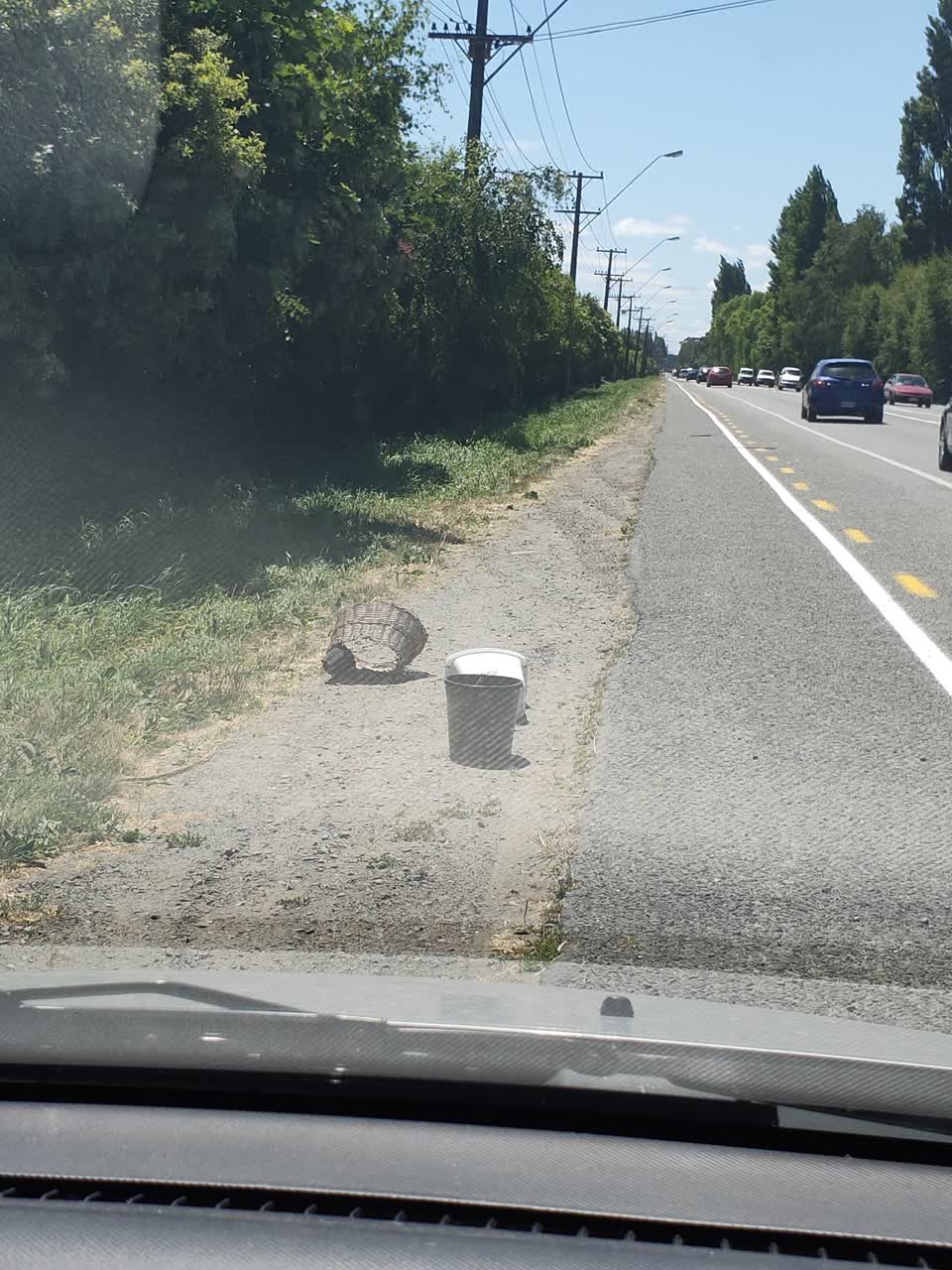 The photograph attached to this rubbish/recycling report