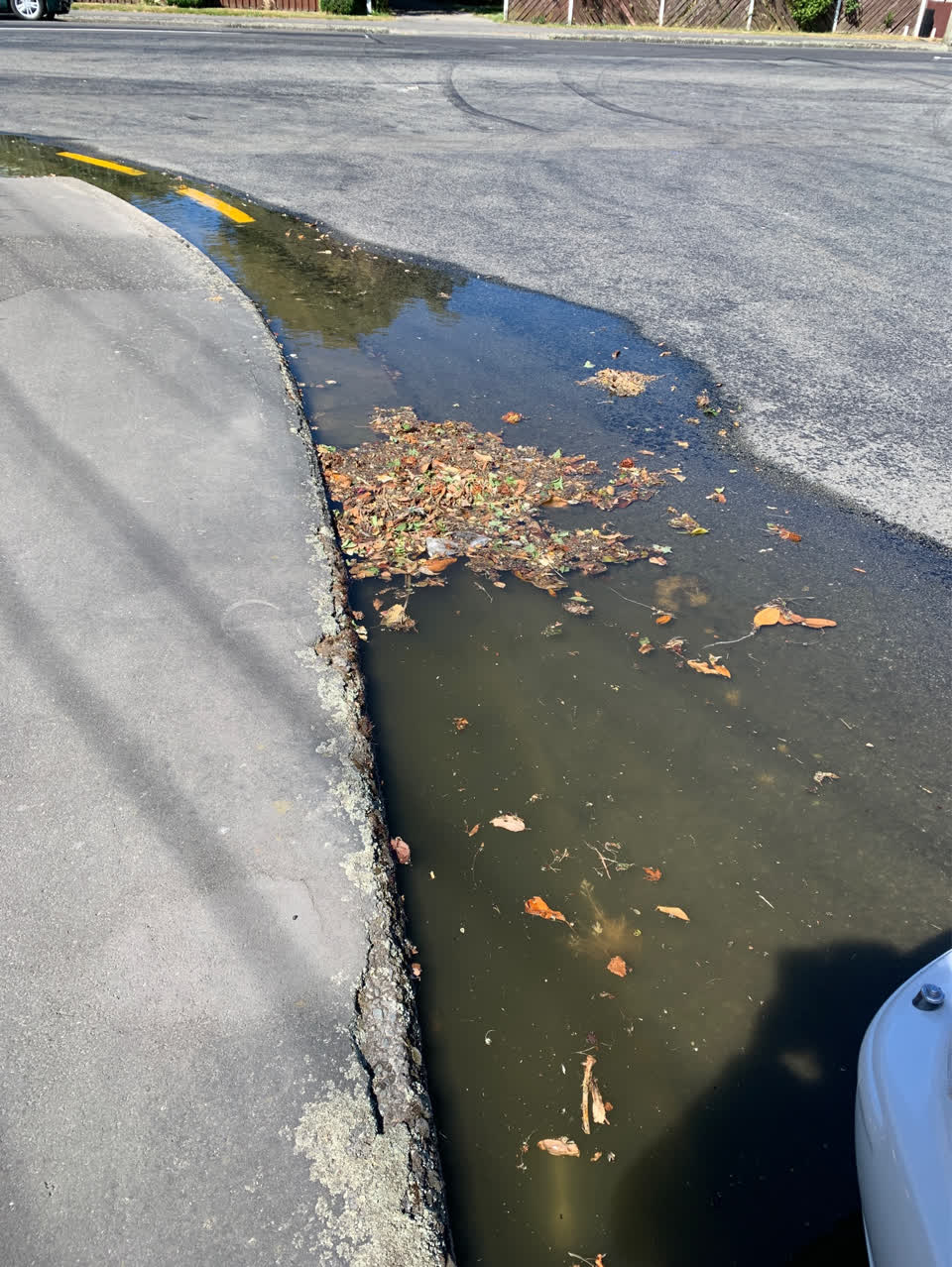 The photograph attached to this flooding report