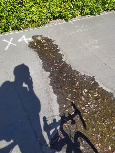Water Supply, a report photo