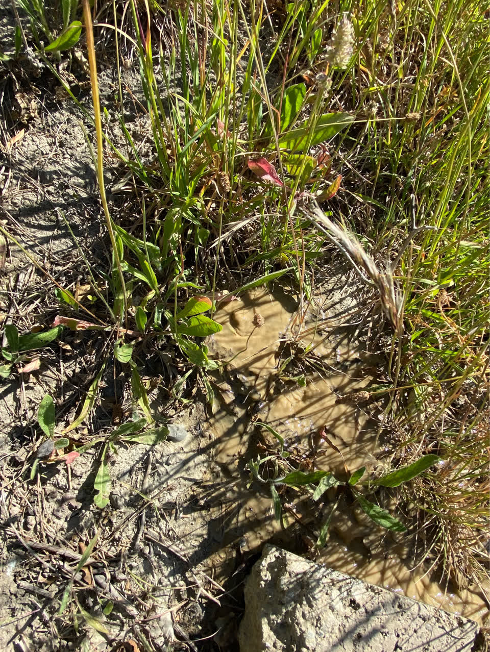 The photograph attached to this wastewater/stormwater report