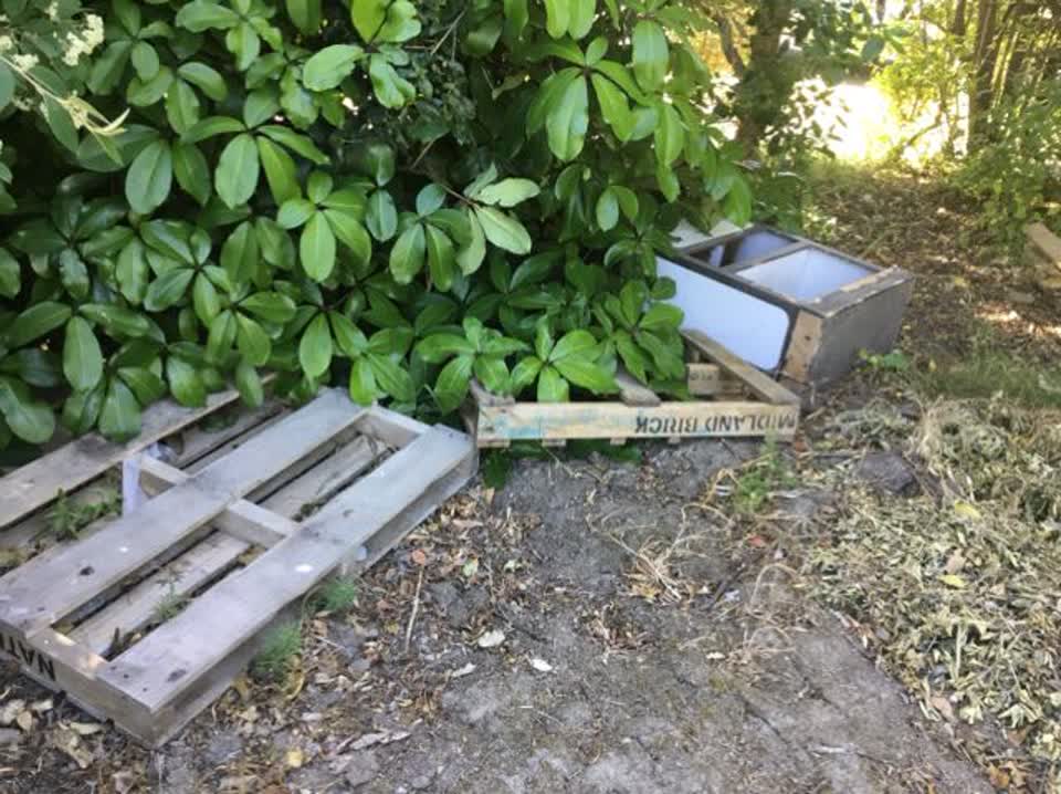 The photograph attached to this rubbish/recycling report