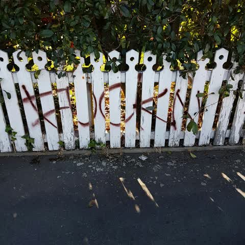 Graffiti, a report photo
