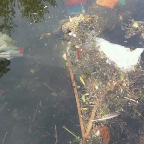 Rubbish/Recycling, a report photo