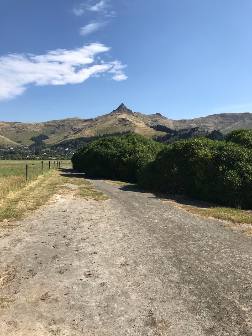 The photograph attached to this parks report