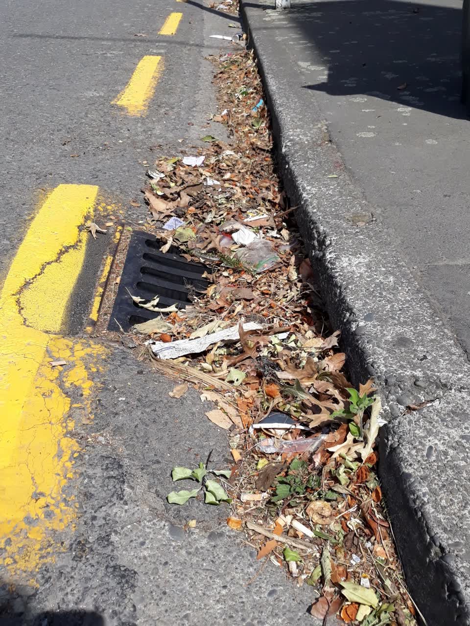 The photograph attached to this wastewater/stormwater report