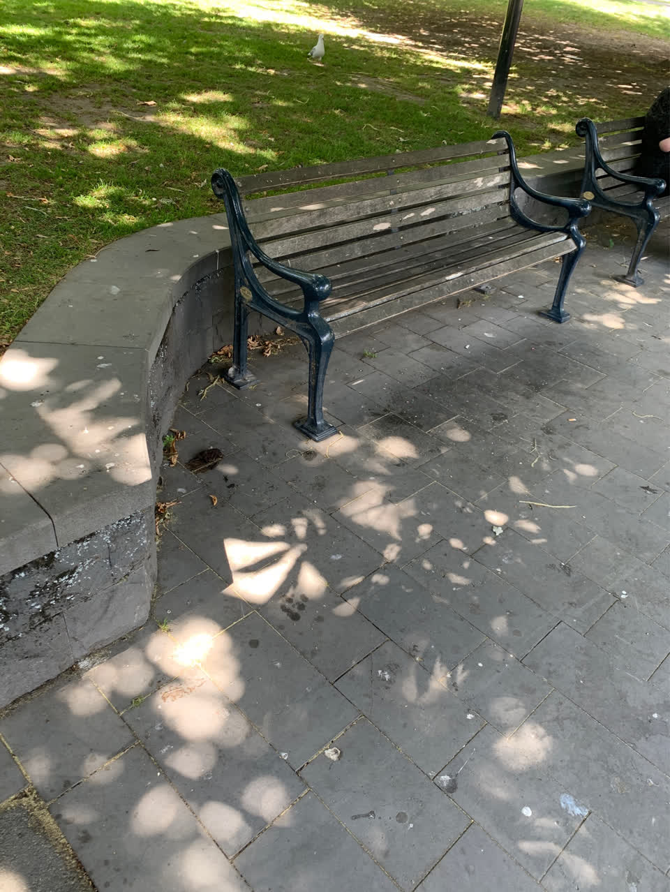 The photograph attached to this parks report