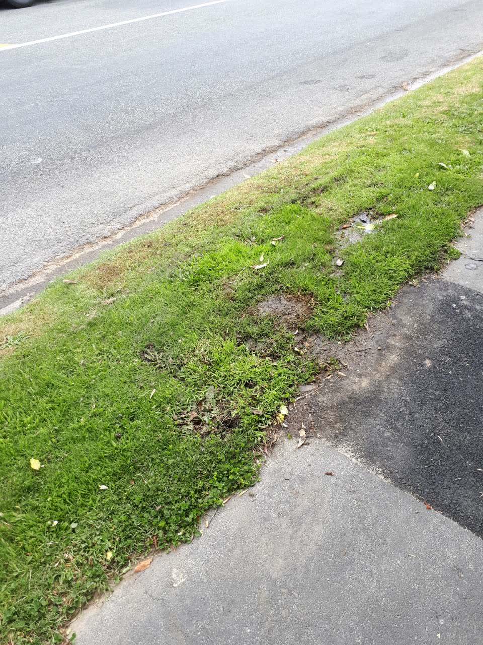 The photograph attached to this water supply report