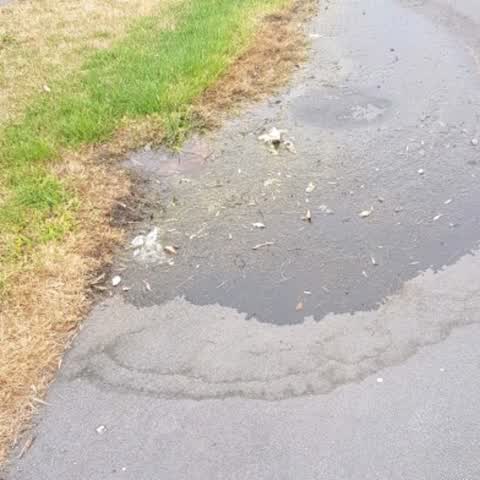 Water Supply, a report photo