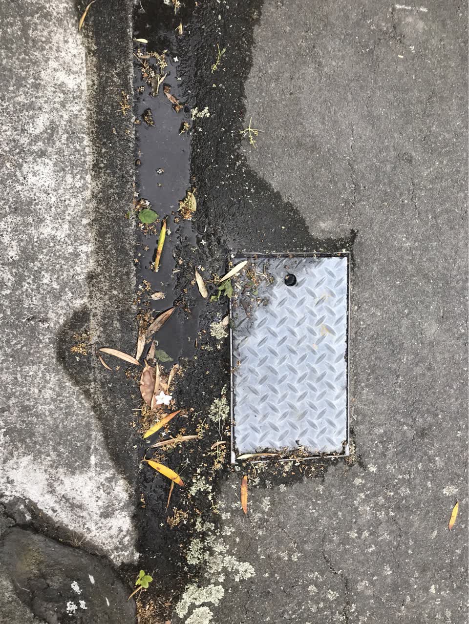 The photograph attached to this flooding report