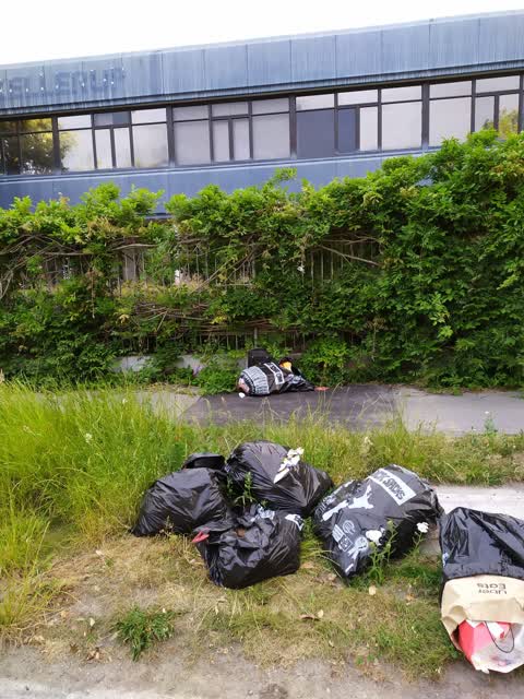 Rubbish/Recycling, a report photo