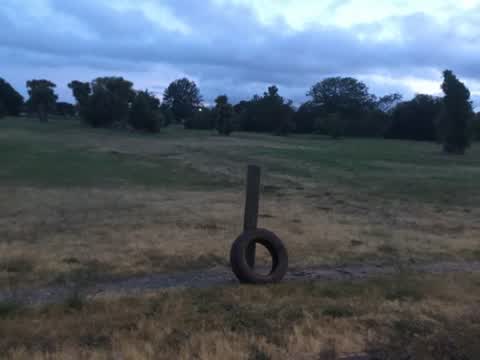 Rubbish/Recycling, a report photo