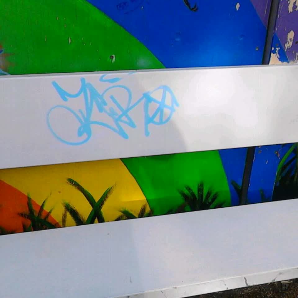 The photograph attached to this graffiti report