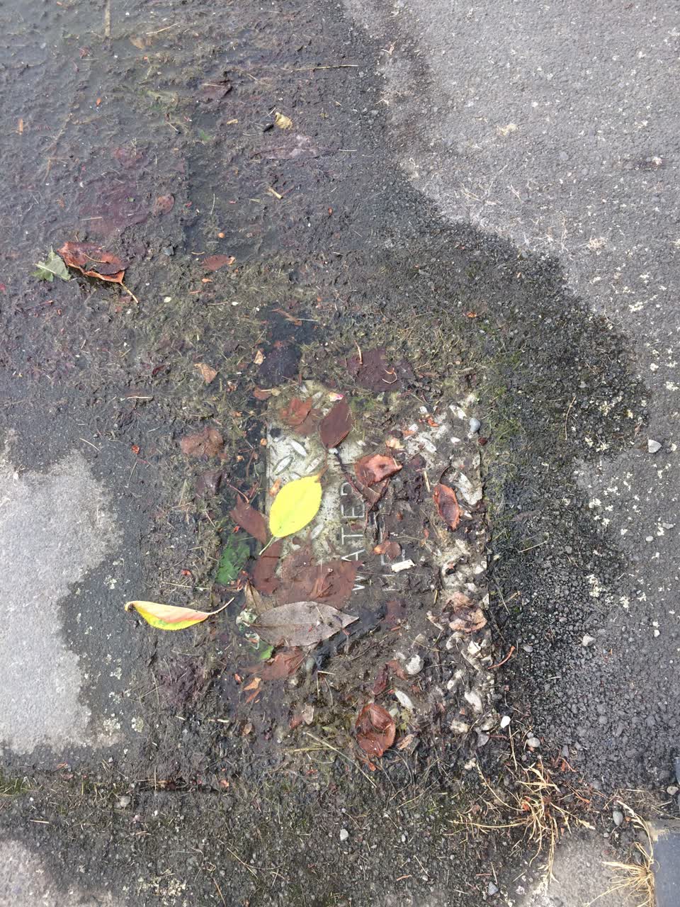 The photograph attached to this water supply report