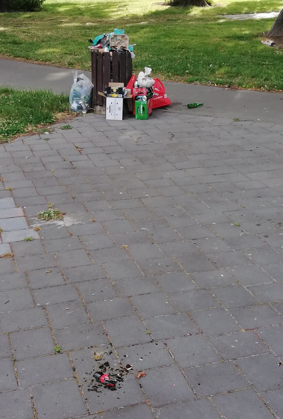 The photograph attached to this rubbish/recycling report