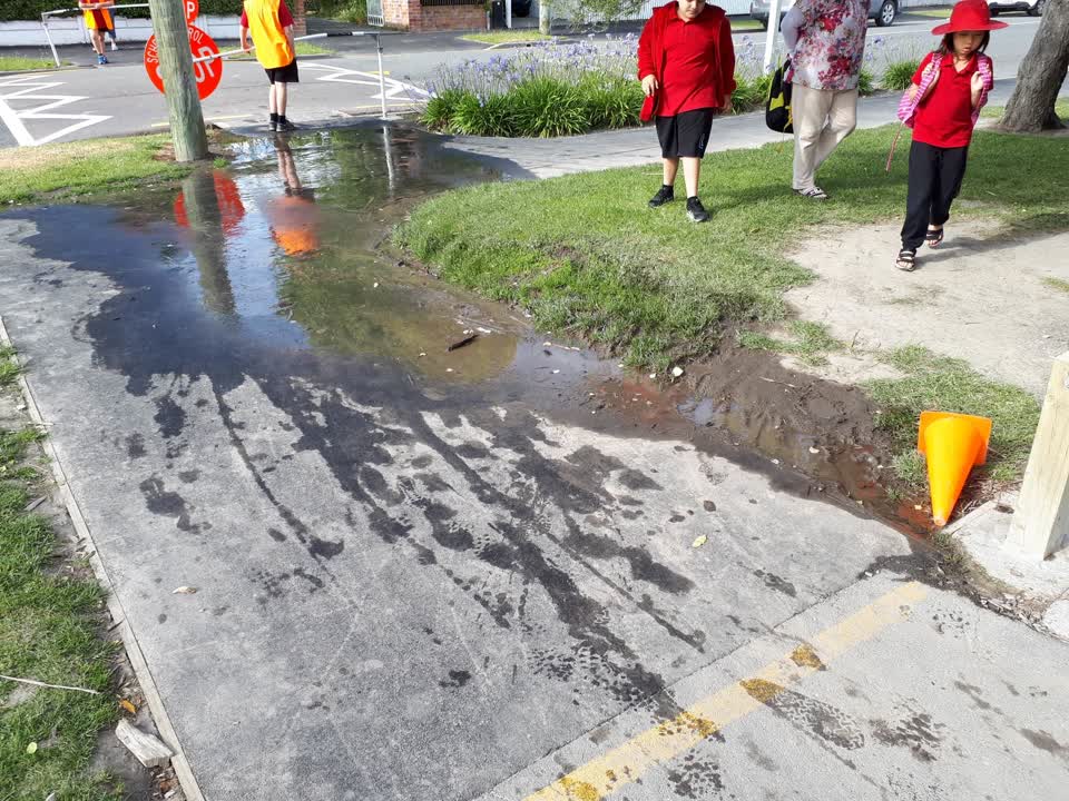 The photograph attached to this water supply report