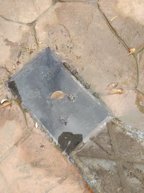 Water Supply, a report photo
