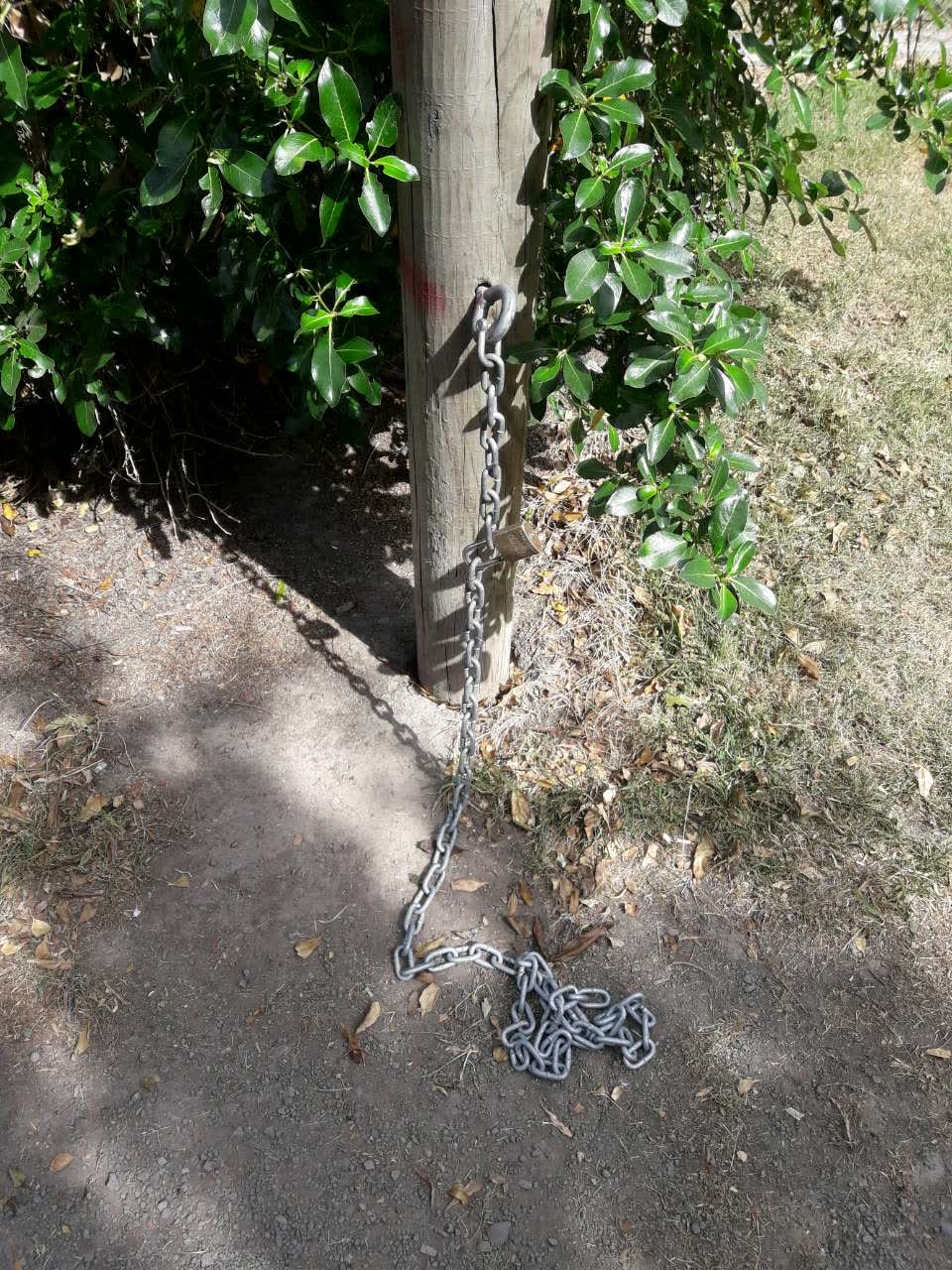 The photograph attached to this parks report