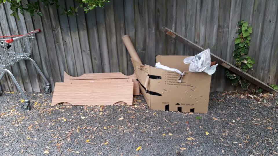 The photograph attached to this parks report