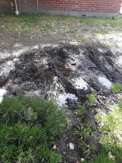 Water Supply — a report photo