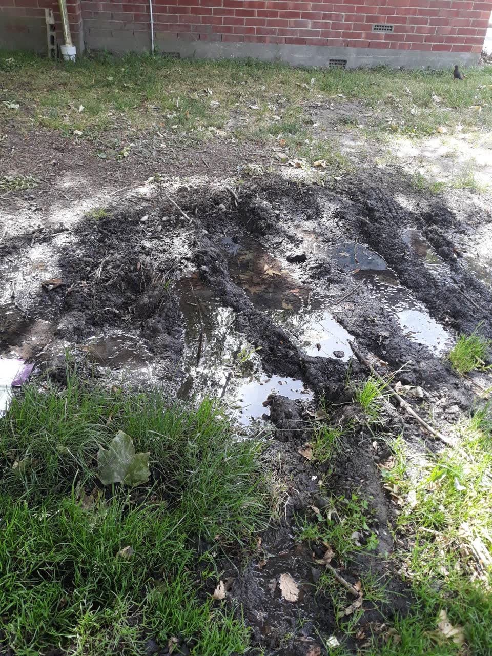 The photograph attached to this water supply report