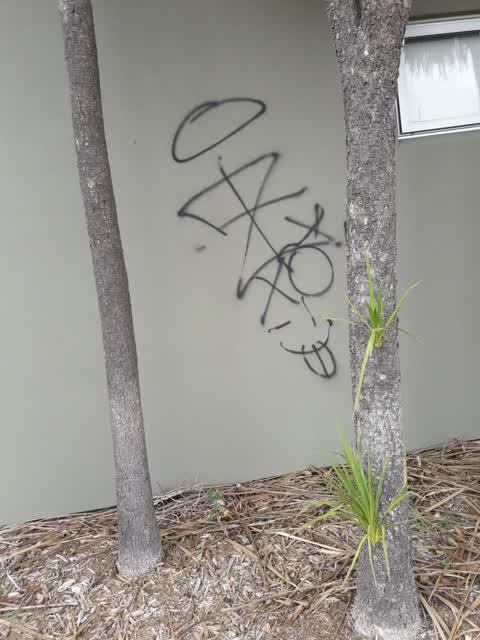 Graffiti, a report photo