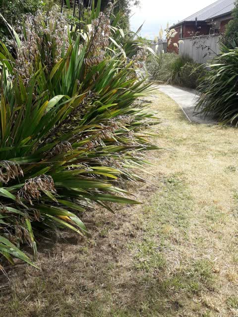 Parks, a report photo