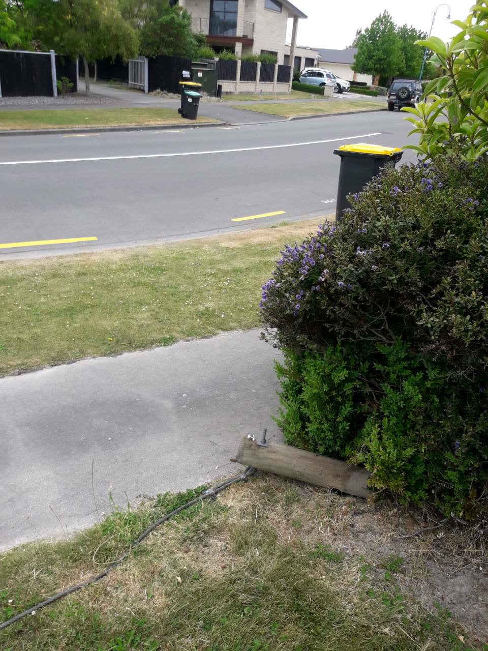 The photograph attached to this parks report