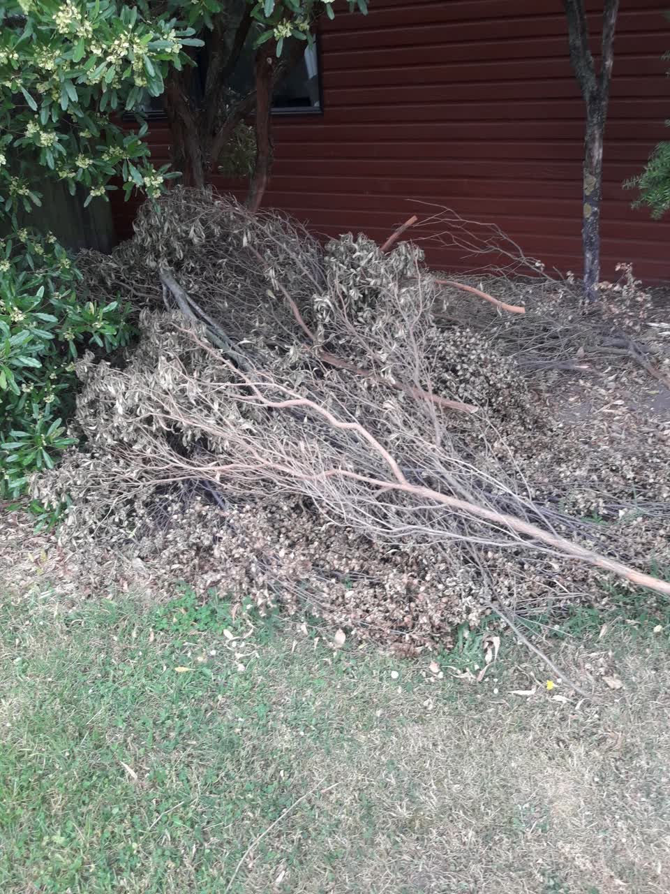 The photograph attached to this parks report